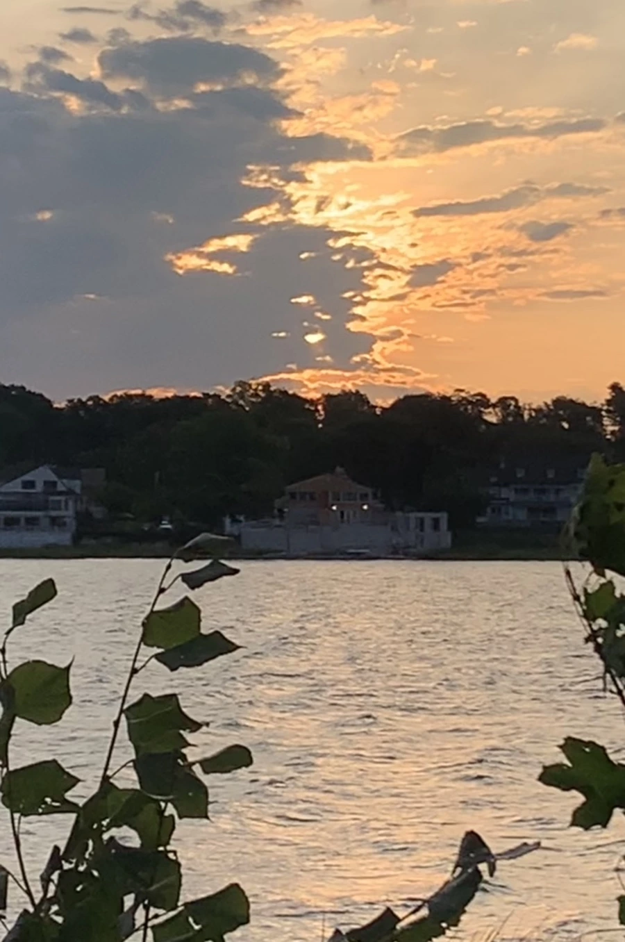 IMG_1764.jpg?type=w966