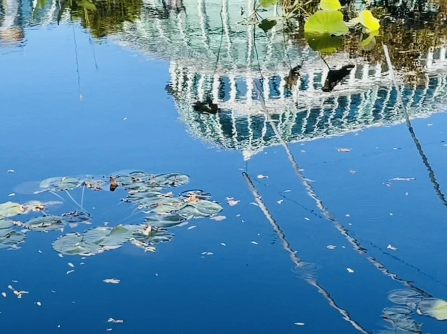 IMG_2054.jpg?type=w966