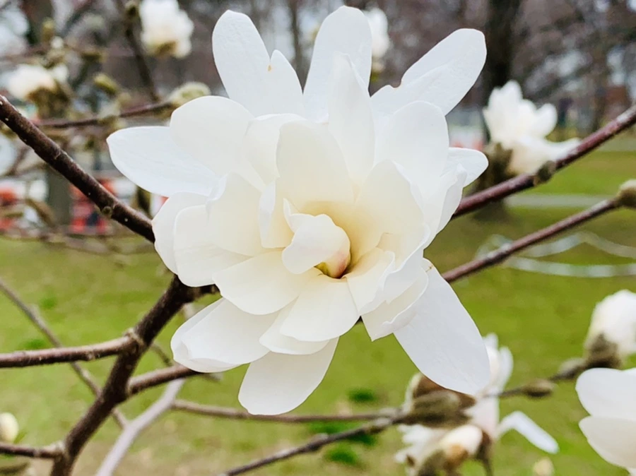 IMG_6026.jpg?type=w966