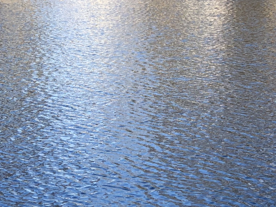 IMG_4084.jpg?type=w966