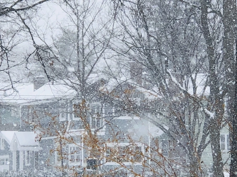 IMG_3379.jpg?type=w966