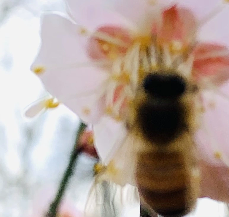 IMG_0528.jpg?type=w966