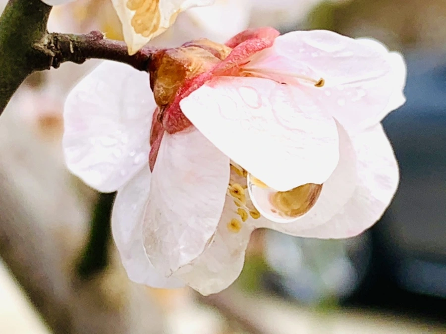 IMG_3963.jpg?type=w966