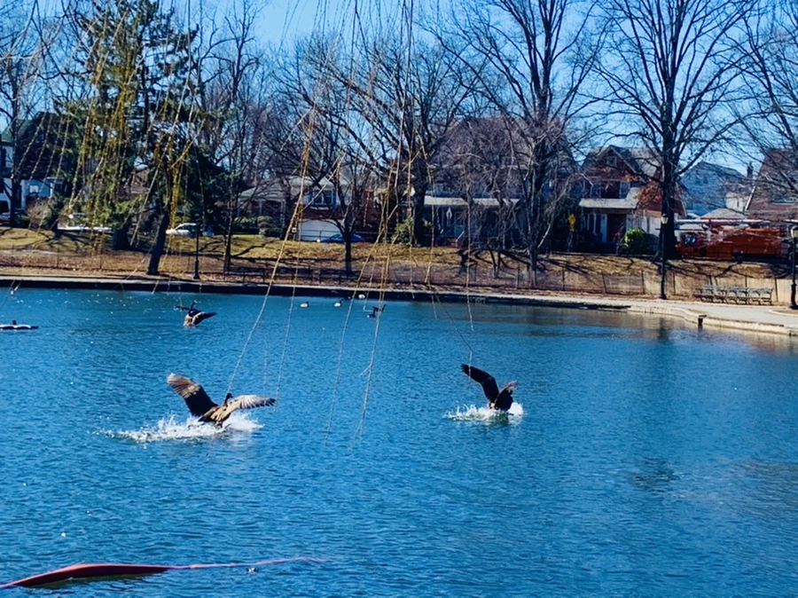 IMG_6832.jpg?type=w966