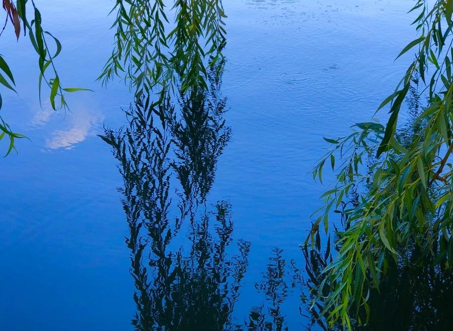 IMG_2872.jpg?type=w966