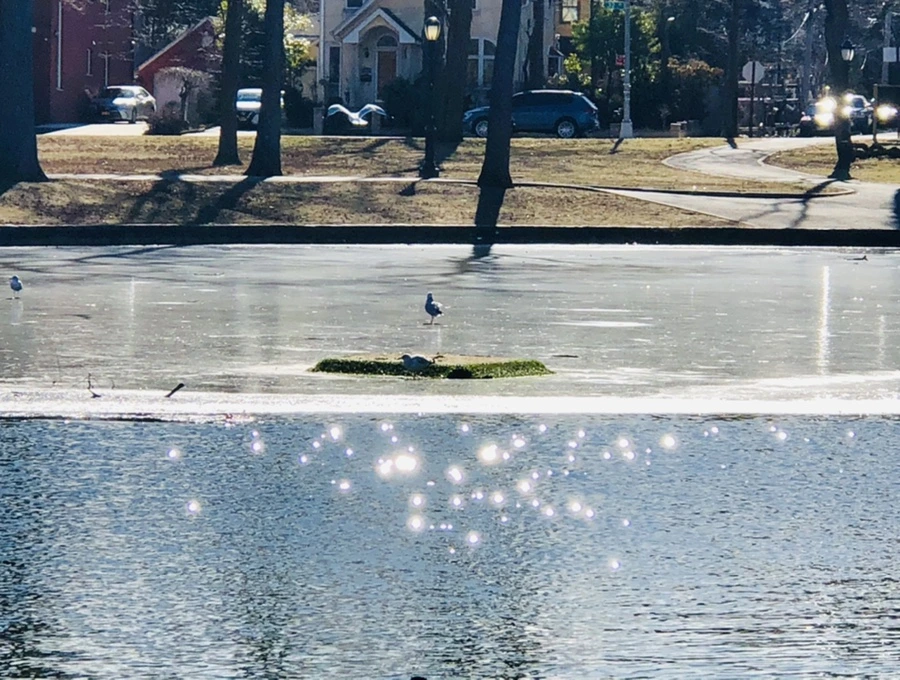 IMG_5352.jpg?type=w966