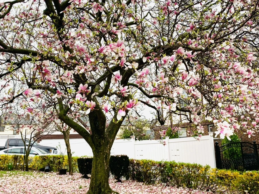 IMG_2223.jpg?type=w966