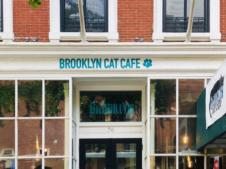 IMG_6208.jpg?type=w966