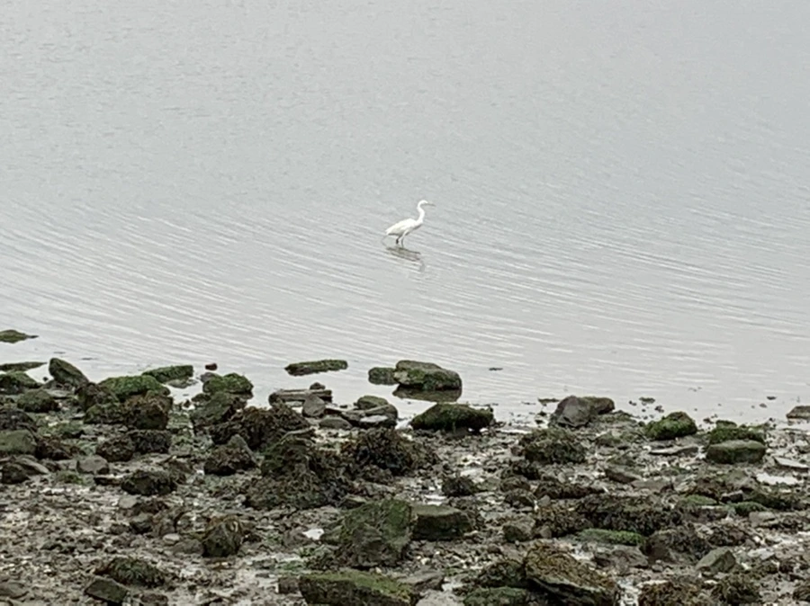 IMG_3635.jpg?type=w966