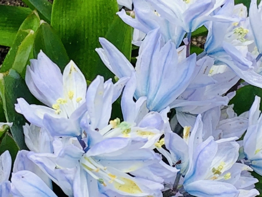 IMG_4132.jpg?type=w966