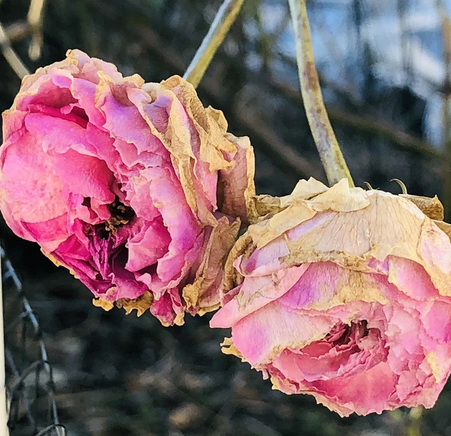 OmSSIBSbvq_jBPKTcZblBLw1OEc