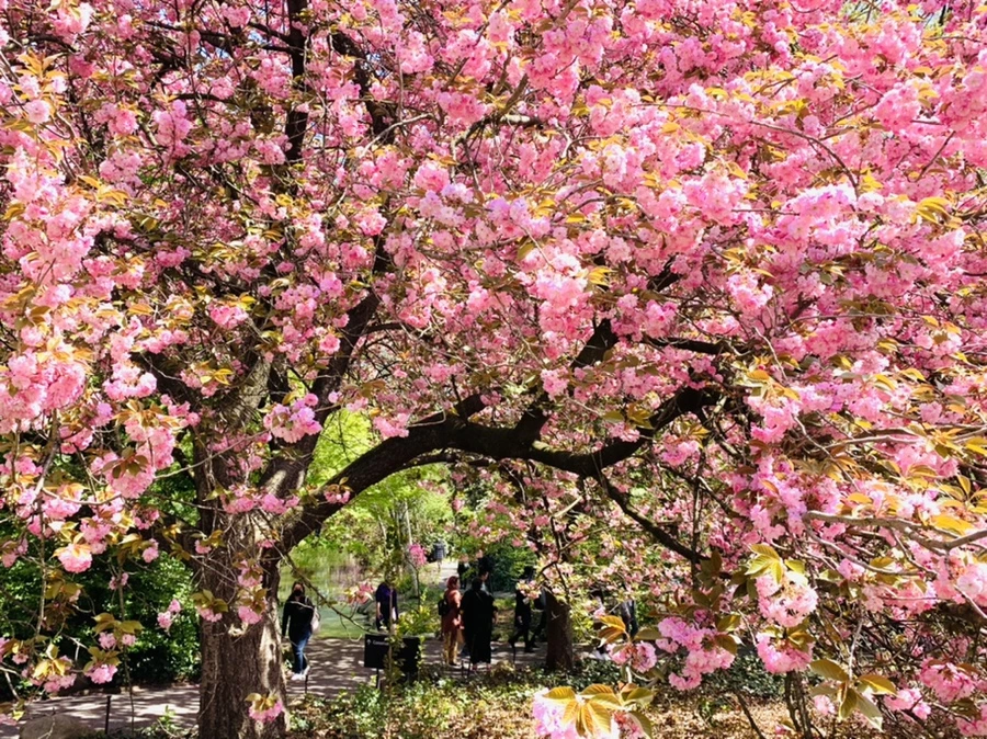 IMG_6401.jpg?type=w966