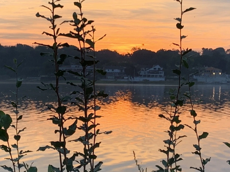 IMG_6783.jpg?type=w966