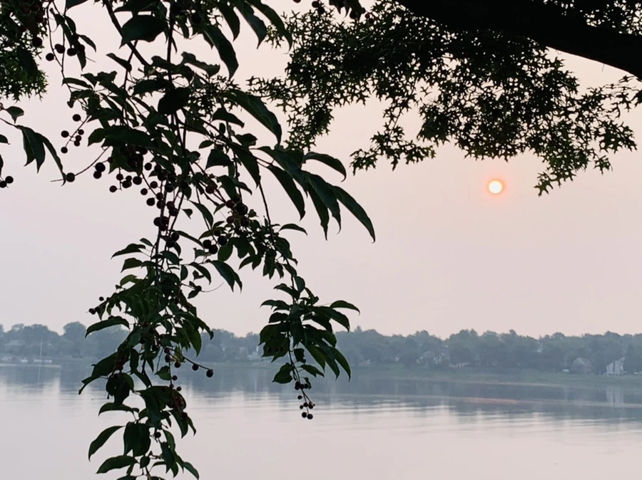 IMG_8357.jpg?type=w966