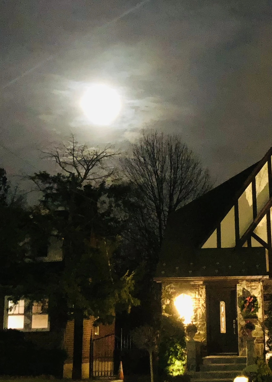 IMG_8574.jpg?type=w966