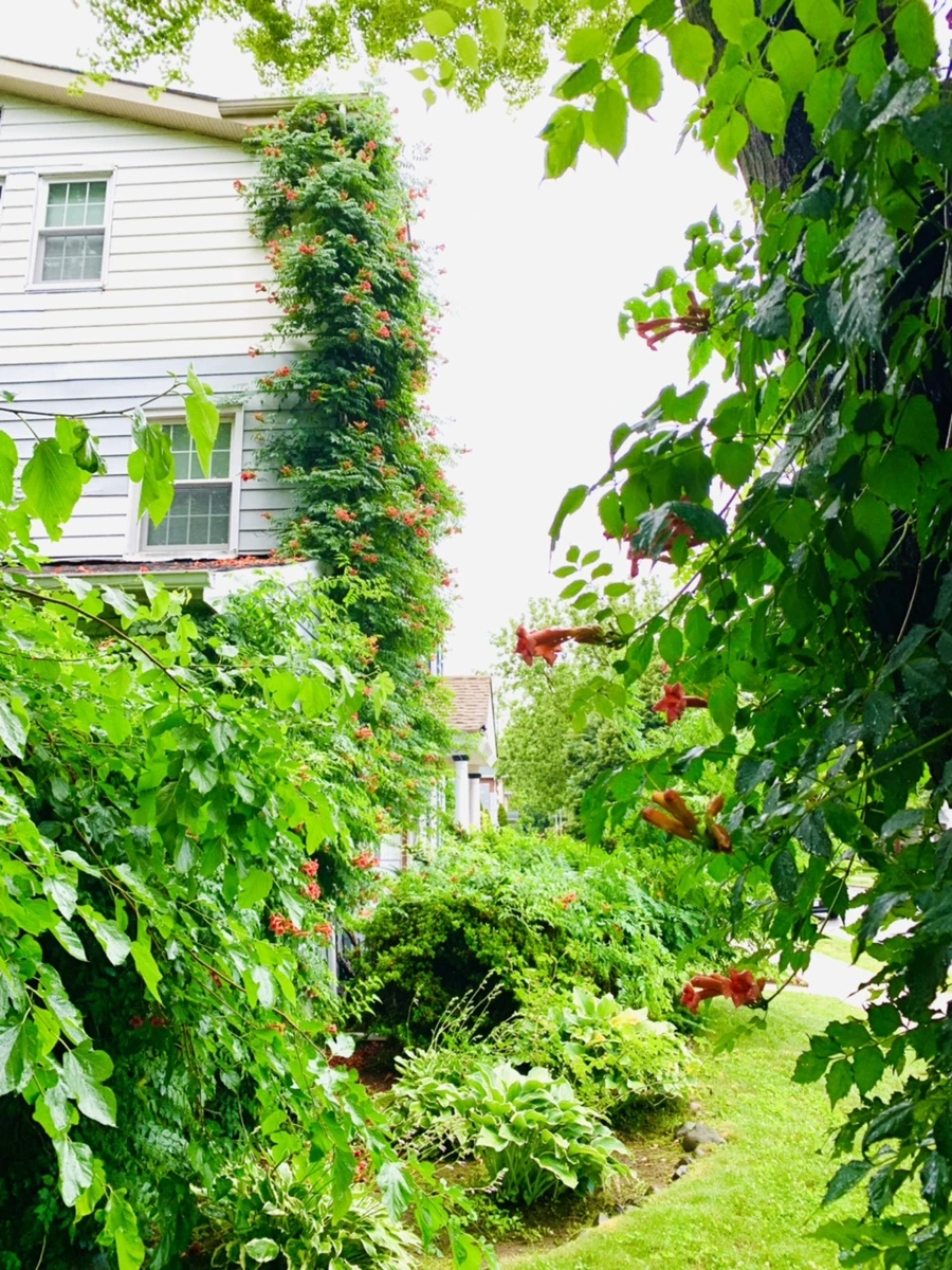 IMG_0032.jpg?type=w966