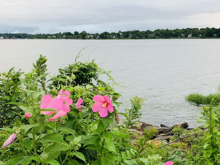 IMG_7718.jpg?type=w966