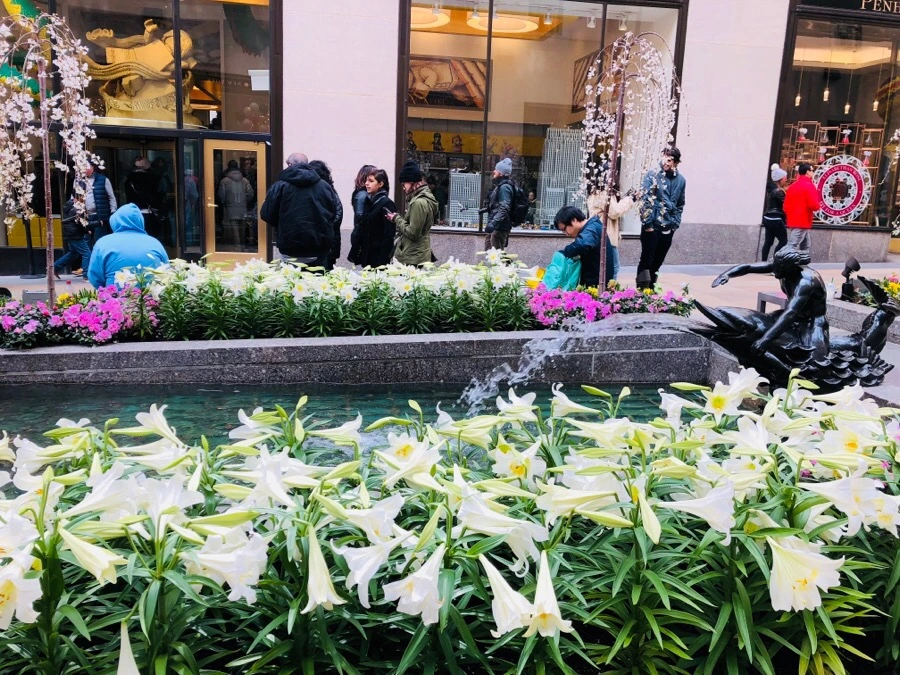 IMG_4095.jpg?type=w966