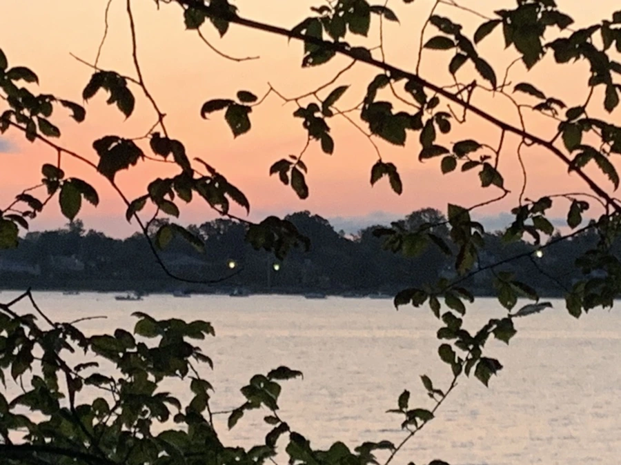 IMG_5320.jpg?type=w966