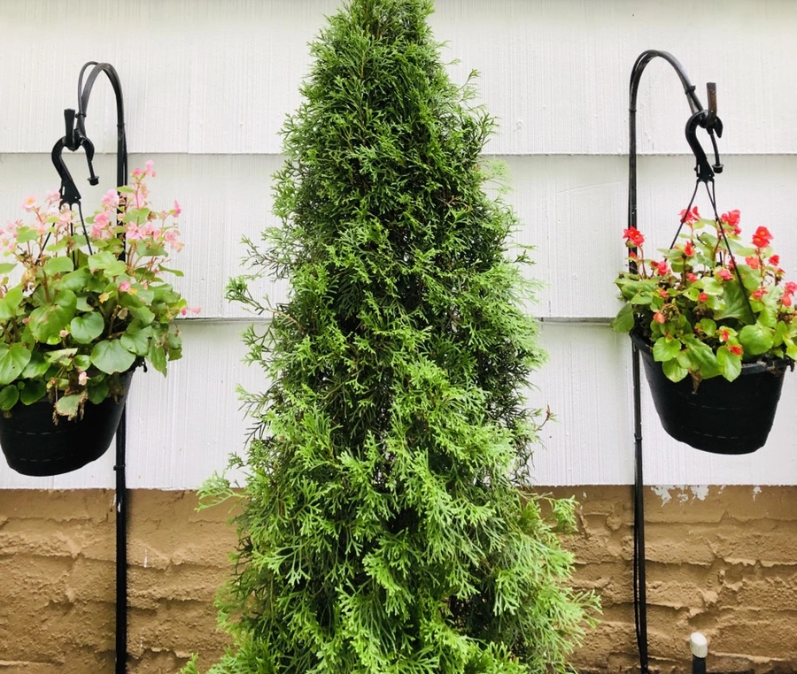 IMG_1268.jpg?type=w966