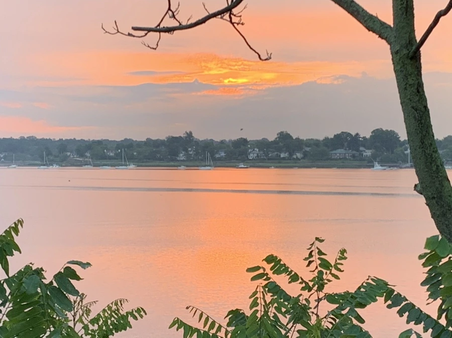 IMG_0203.jpg?type=w966