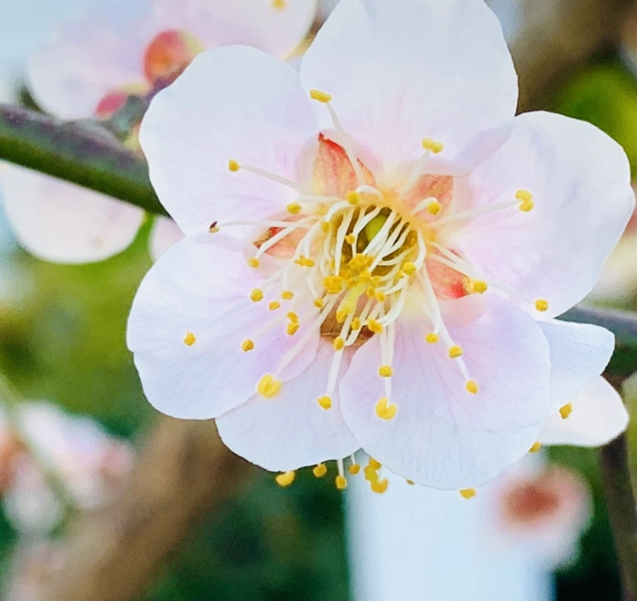 IMG_0789.jpg?type=w966