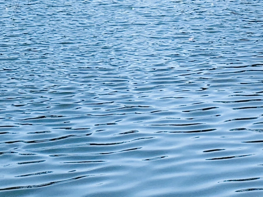 IMG_0034.jpg?type=w966