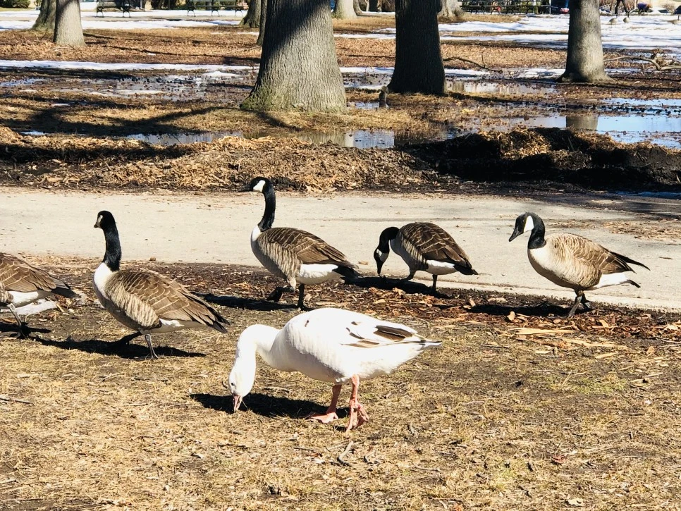 IMG_4631.jpg?type=w966