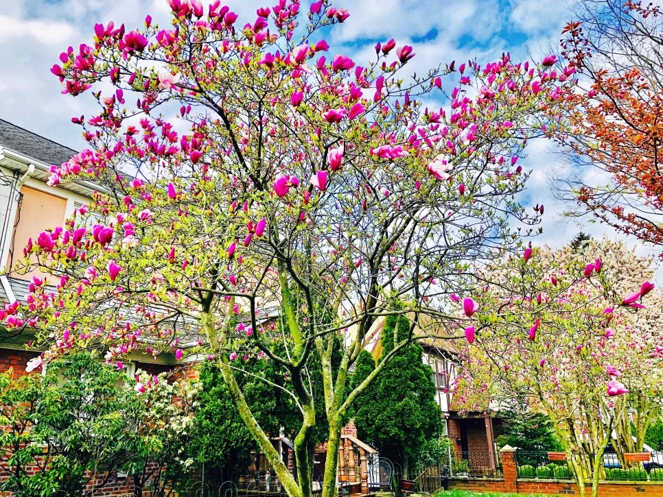 IMG_E5080.jpg?type=w966