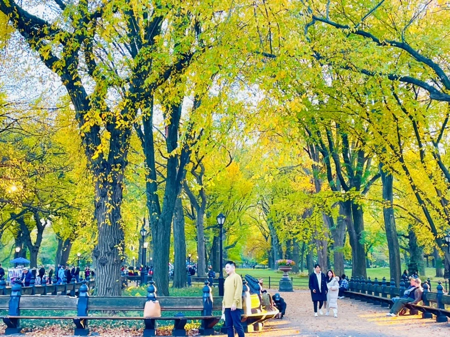 IMG_1467.jpg?type=w966