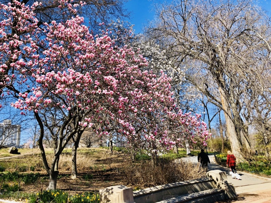 IMG_6626.jpg?type=w966