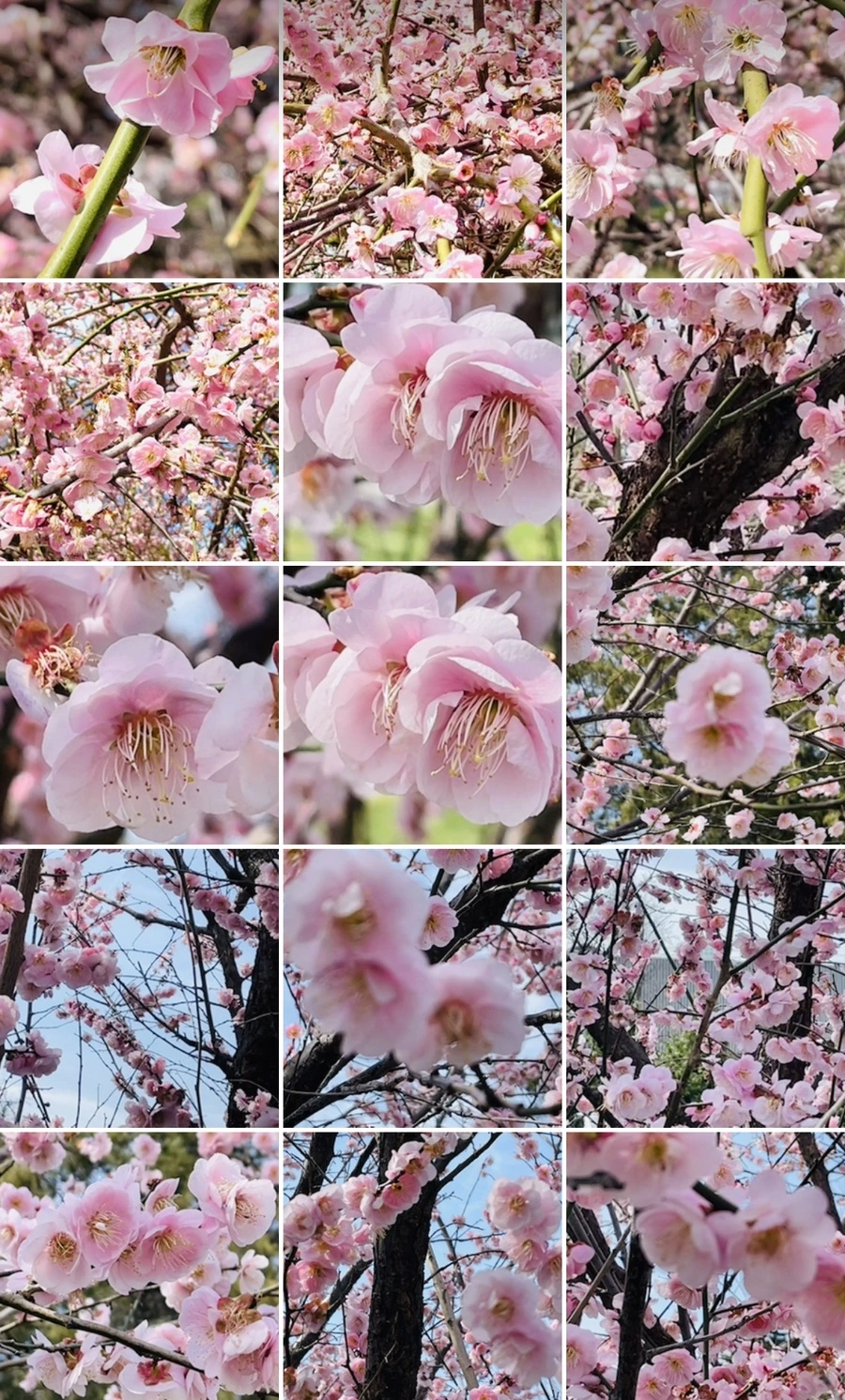 IMG_6779.jpg?type=w966