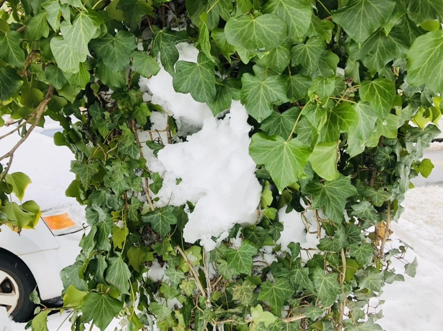 2cyOPnTj5zWOUNQZlUT-t7IwZhY