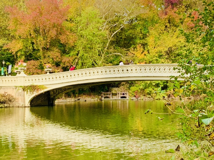 IMG_0176.jpg?type=w966