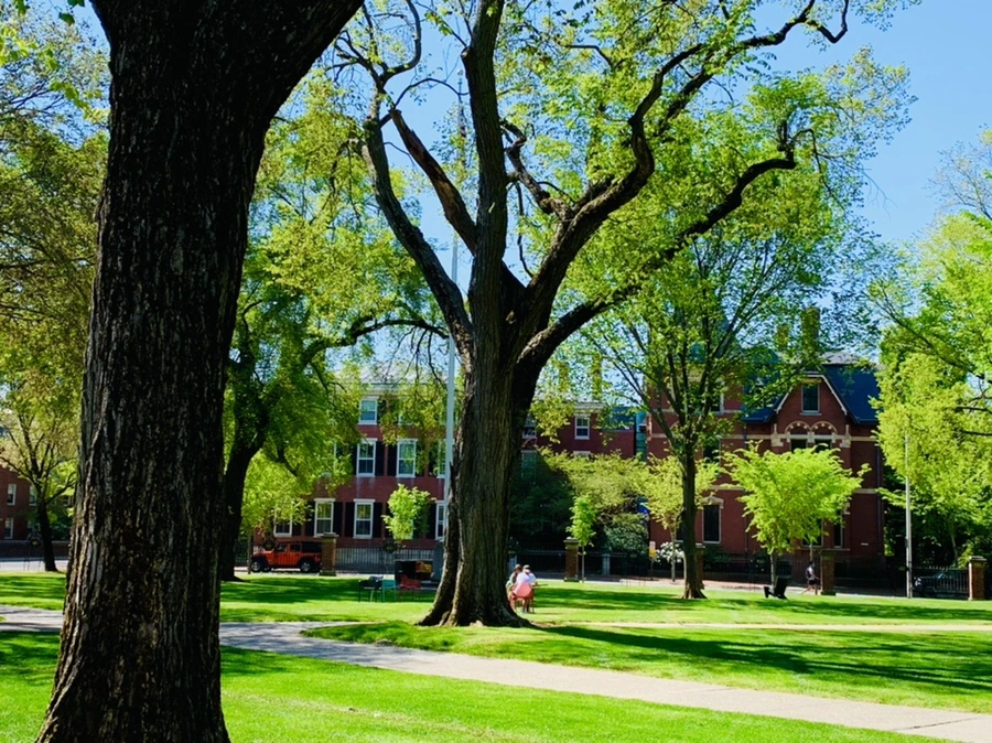 IMG_3083.jpg?type=w966