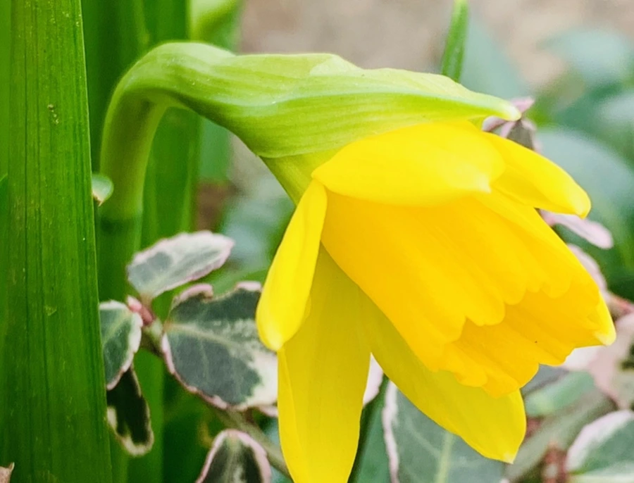 IMG_3211.jpg?type=w966