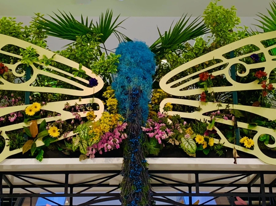 IMG_1558.jpg?type=w966