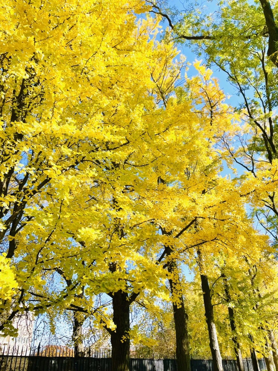 IMG_3023.jpg?type=w966