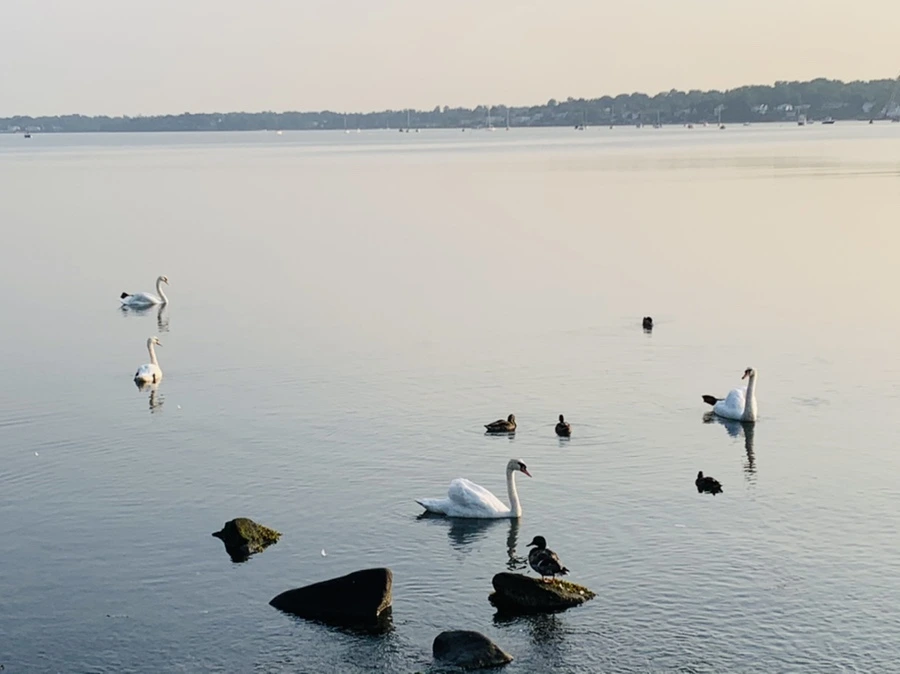 IMG_6099.jpg?type=w966