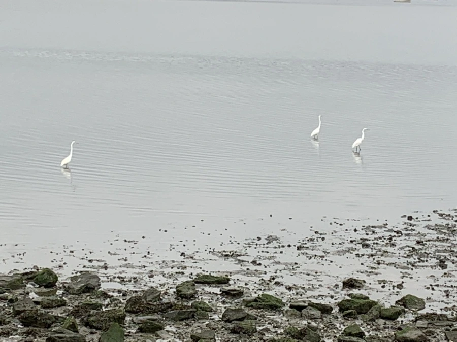 IMG_3667.jpg?type=w966