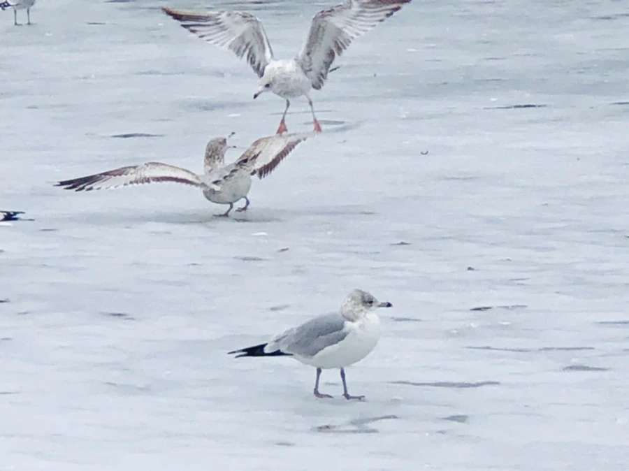 IMG_6340.jpg?type=w966