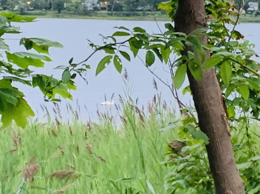 IMG_6165.jpg?type=w966