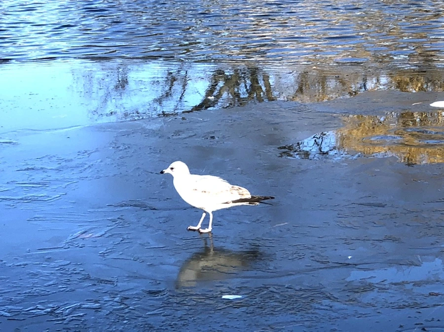 IMG_0553.jpg?type=w966