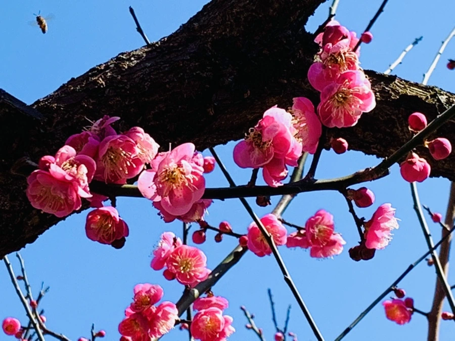 IMG_3011.jpg?type=w966