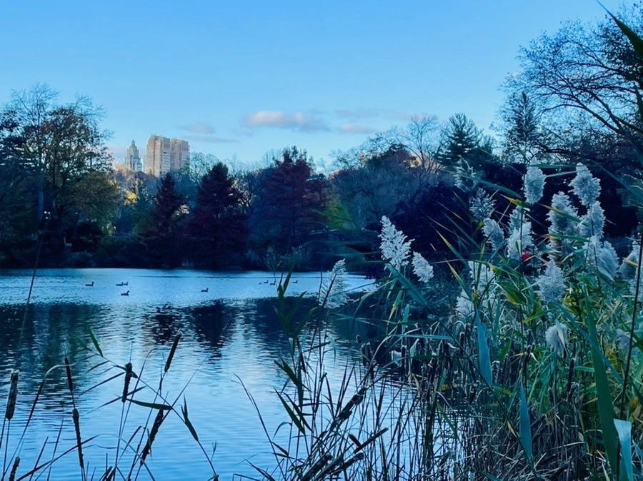 cjb-EOBzORXeTXbe9IoII2qj2pw