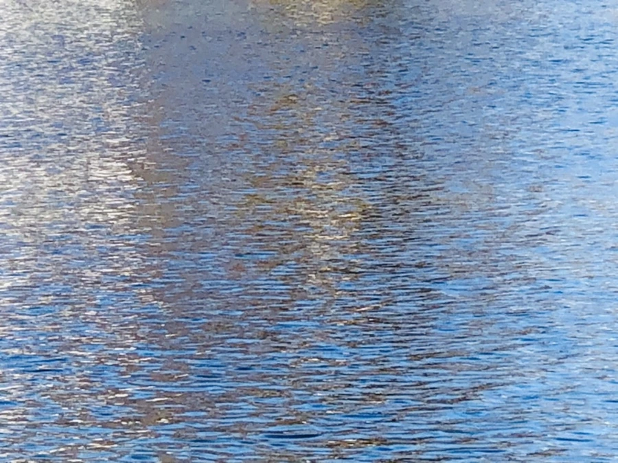 IMG_3767.jpg?type=w966