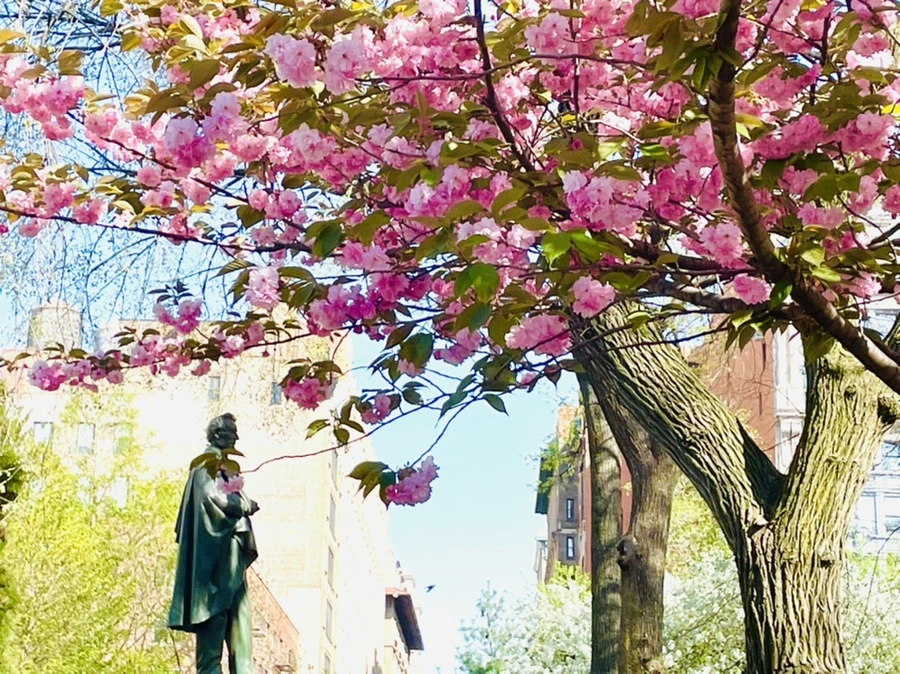 IMG_2349.jpg?type=w966