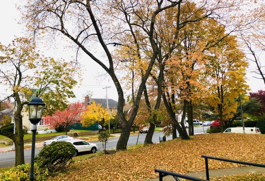 IMG_4388.jpg?type=w966