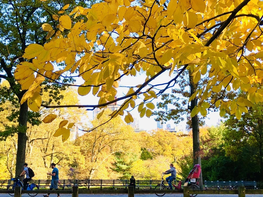 IMG_3446.jpg?type=w966