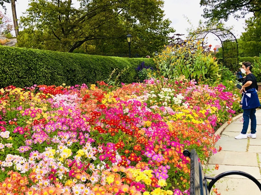 IMG_2471.jpg?type=w966